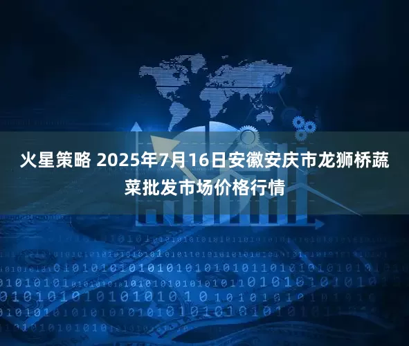 火星策略 2025年7月16日安徽安庆市龙狮桥蔬菜批发市场价格行情